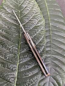 Jungle
